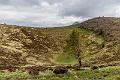 2019_05_03_Auvergne (0048)